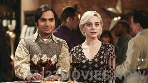 The Big Bang Theory Season 9 Episode 22