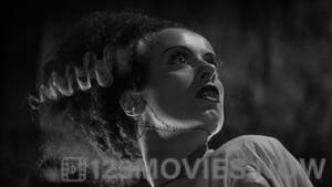 The Bride of Frankenstein