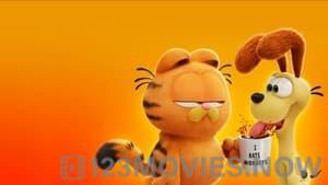 The Garfield Movie