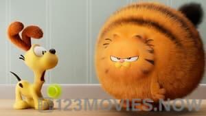 The Garfield Movie