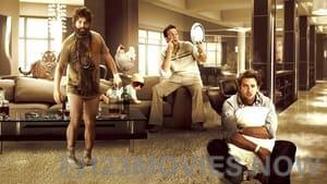 The Hangover