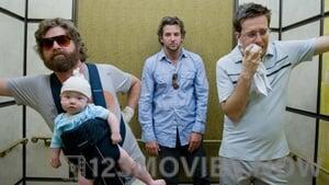 The Hangover