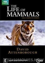 The Life of Mammals