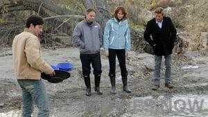 The Mentalist Season 3 Episode 15