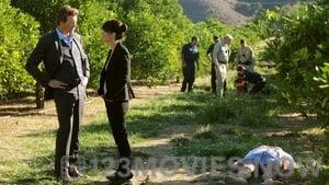 The Mentalist Season 3 Episode 9