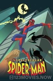 The Spectacular Spider-Man Season 1 Episode 1