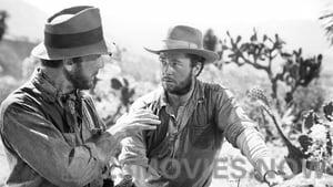 The Treasure of the Sierra Madre