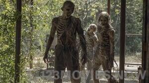 The Walking Dead Season 10 Episode 10