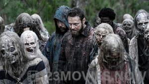 The Walking Dead Season 11 Episode 23