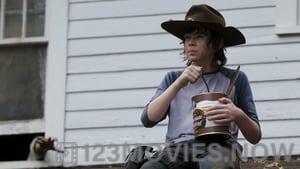 The Walking Dead Season 4 Episode 9