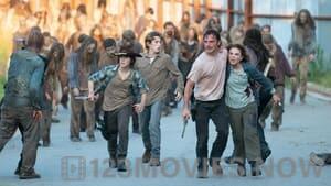 The Walking Dead Season 6 Episode 8