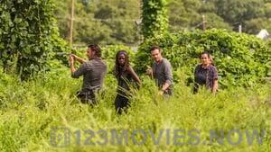 The Walking Dead Season 7 Episode 9