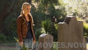 True Blood Season 6 Episode 8