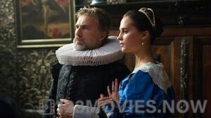 Tulip Fever