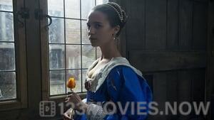 Tulip Fever