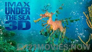 Under the Sea 3D