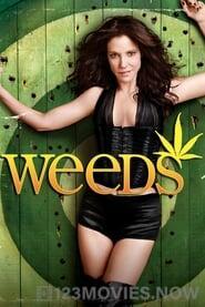 Weeds Season 2 Episode 7