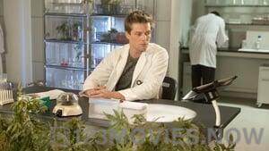 Weeds Season 8 Episode 10